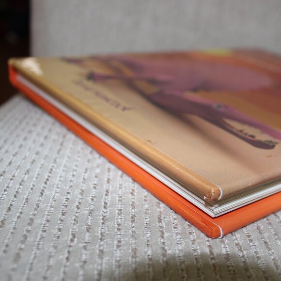 FREE*❤️Paper Dinosaurs: How to Make 20 Original Paper Models book David Hawcock - Picture 4 of 9